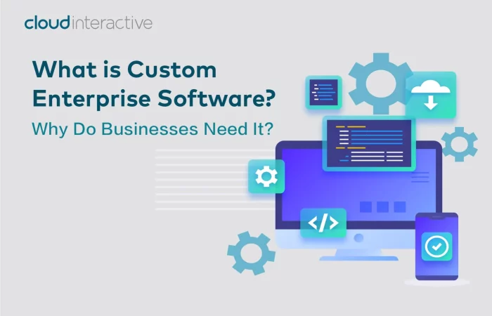 custom-enterprise-software-development