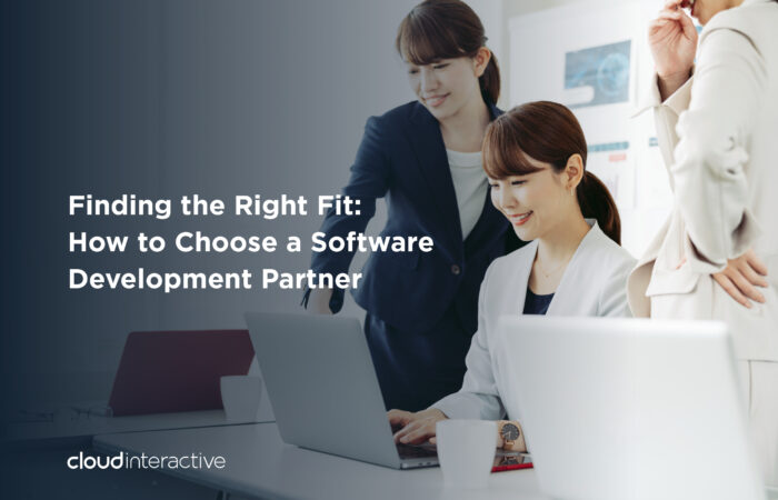 software-development-partner